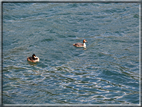foto Lago di Caldonazzo